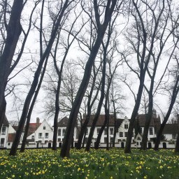 The Augustine Book Table