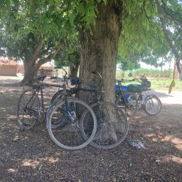 2022 Visitation Schedule