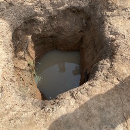 Christian Perspective