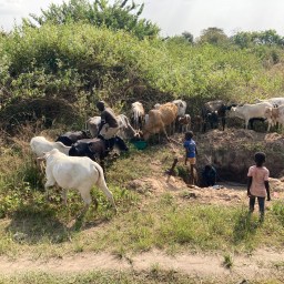 More Sweet Memories!