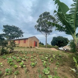 Low-Lit Trails in a Darkened World